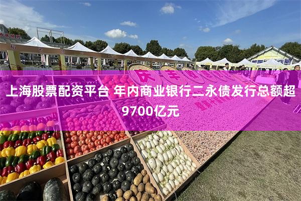 上海股票配资平台 年内商业银行二永债发行总额超9700亿元