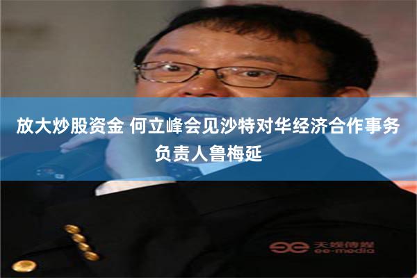 放大炒股资金 何立峰会见沙特对华经济合作事务负责人鲁梅延