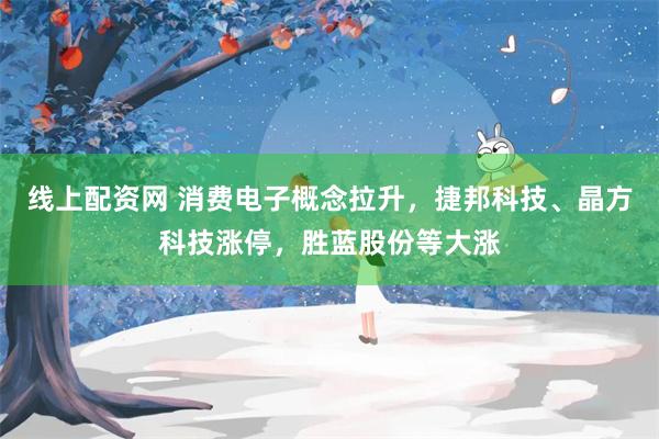 线上配资网 消费电子概念拉升，捷邦科技、晶方科技涨停，胜蓝股份等大涨