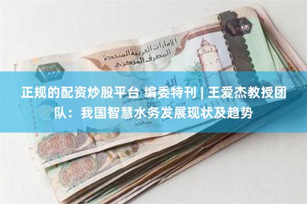 正规的配资炒股平台 编委特刊 | 王爱杰教授团队：我国智慧水务发展现状及趋势