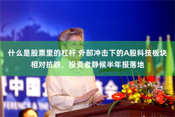 什么是股票里的杠杆 外部冲击下的A股科技板块相对抗跌，投资者静候半年报落地