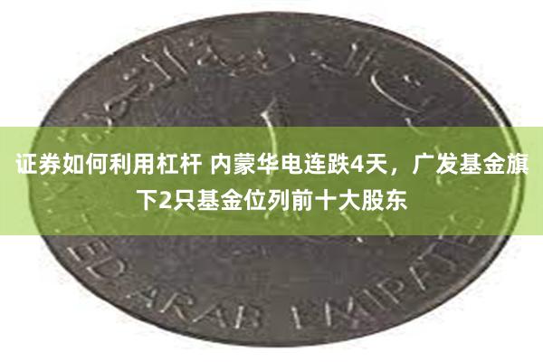 证券如何利用杠杆 内蒙华电连跌4天，广发基金旗下2只基金位列前十大股东