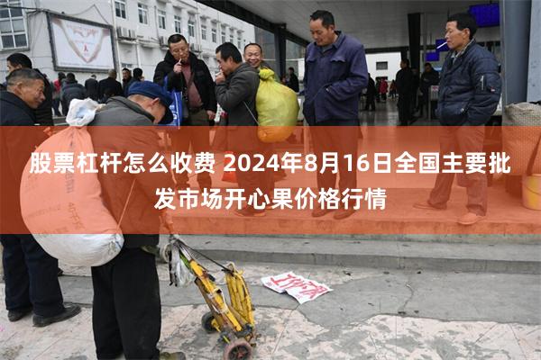 股票杠杆怎么收费 2024年8月16日全国主要批发市场开心果价格行情