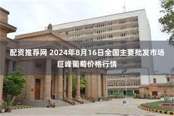 配资推荐网 2024年8月16日全国主要批发市场巨峰葡萄价格行情