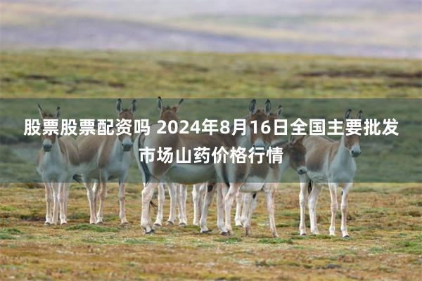 股票股票配资吗 2024年8月16日全国主要批发市场山药价格行情