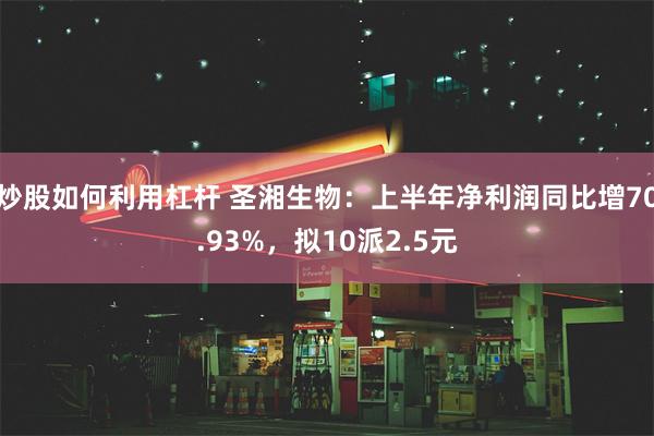 炒股如何利用杠杆 圣湘生物：上半年净利润同比增70.93%，拟10派2.5元