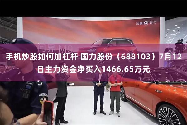 手机炒股如何加杠杆 国力股份（688103）7月12日主力资金净买入1466.65万元