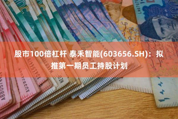 股市100倍杠杆 泰禾智能(603656.SH)：拟推第一期员工持股计划