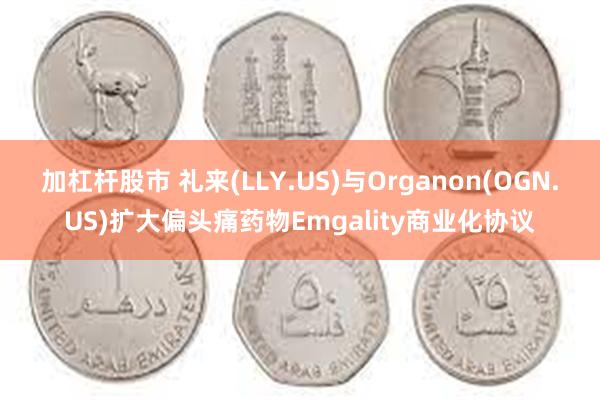 加杠杆股市 礼来(LLY.US)与Organon(OGN.US)扩大偏头痛药物Emgality商业化协议