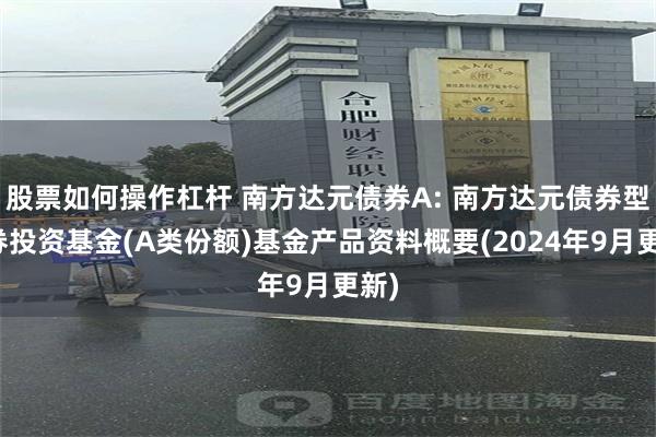 股票如何操作杠杆 南方达元债券A: 南方达元债券型证券投资基金(A类份额)基金产品资料概要(2024年9月更新)