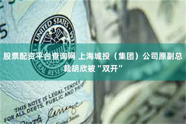 股票配资平台查询网 上海城投（集团）公司原副总裁胡欣被“双开”