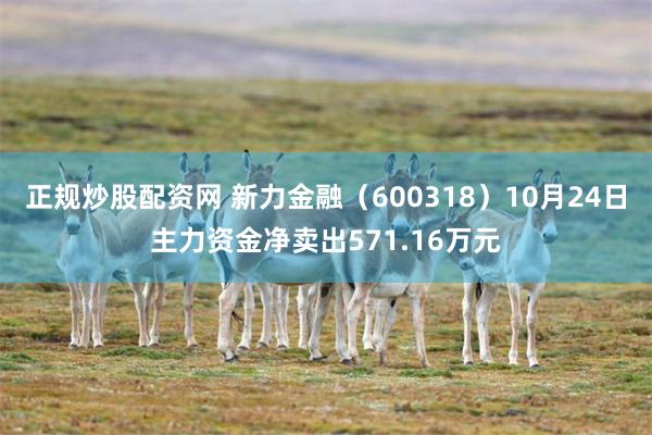 正规炒股配资网 新力金融（600318）10月24日主力资金净卖出571.16万元