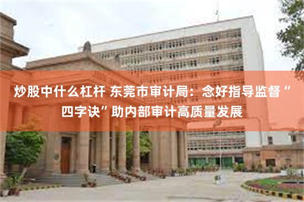 炒股中什么杠杆 东莞市审计局：念好指导监督“四字诀”助内部审计高质量发展