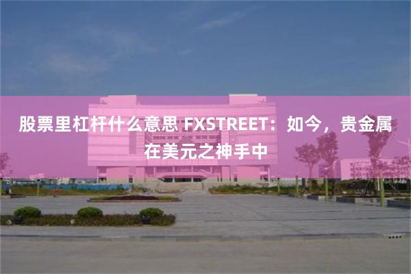 股票里杠杆什么意思 FXSTREET：如今，贵金属在美元之神手中