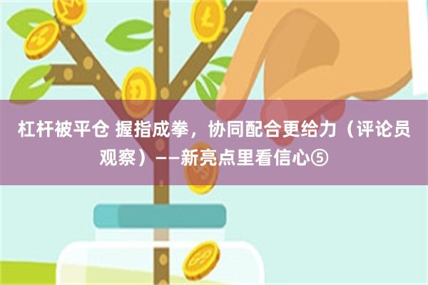 杠杆被平仓 握指成拳，协同配合更给力（评论员观察）——新亮点里看信心⑤