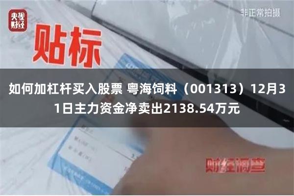 如何加杠杆买入股票 粤海饲料（001313）12月31日主力资金净卖出2138.54万元