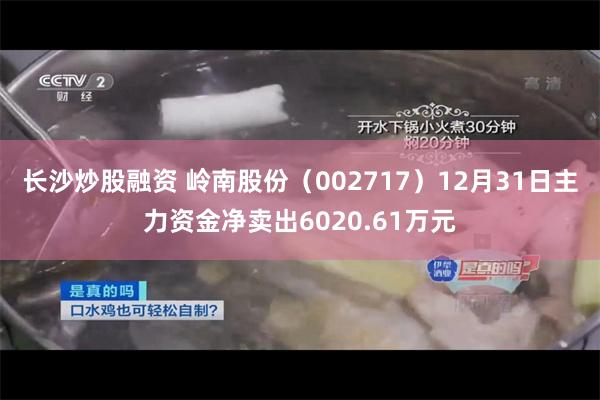 长沙炒股融资 岭南股份（002717）12月31日主力资金净卖出6020.61万元