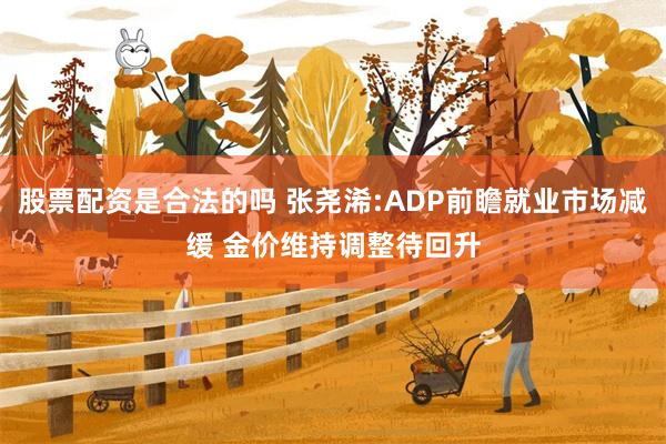 股票配资是合法的吗 张尧浠:ADP前瞻就业市场减缓 金价维持调整待回升