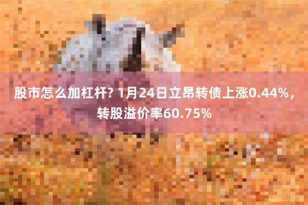 股市怎么加杠杆? 1月24日立昂转债上涨0.44%，转股溢价率60.75%