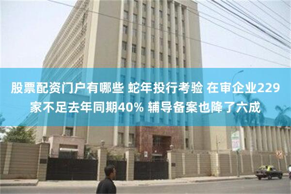 股票配资门户有哪些 蛇年投行考验 在审企业229家不足去年同期40% 辅导备案也降了六成