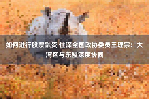 如何进行股票融资 住深全国政协委员王理宗：大湾区与东盟深度协同